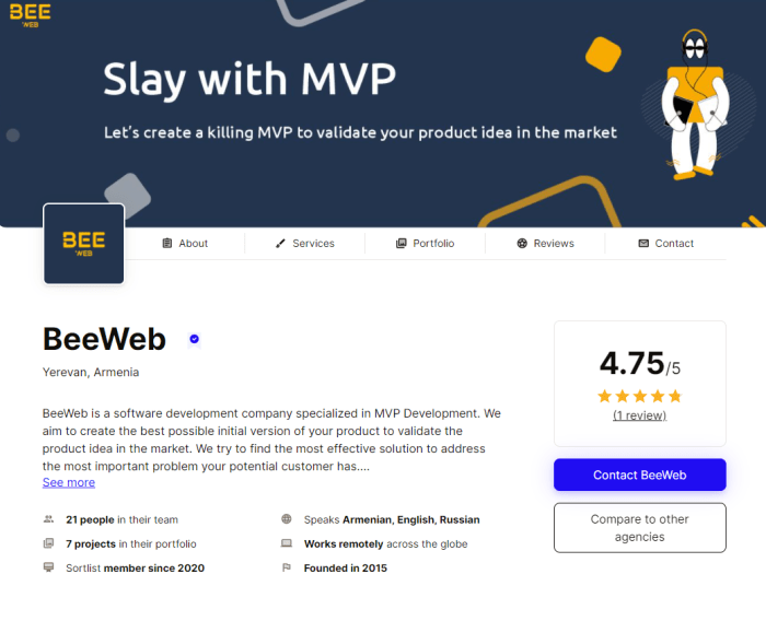 MVP Development Services | Codistan